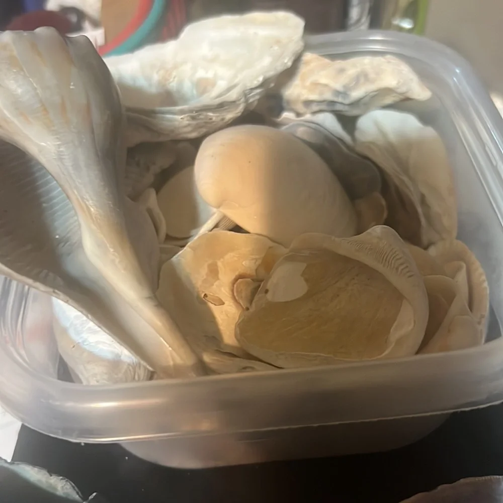 Craft - Picture 2 of 2